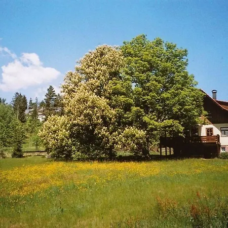 Apartment Gemuetliche In Kniebis Mit Grossem Garten *