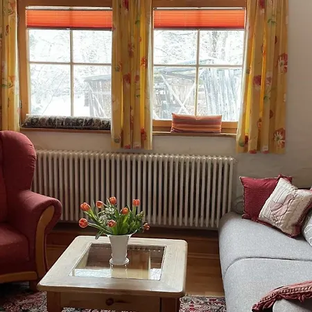Gemuetliche In Kniebis Mit Grossem Garten Apartment