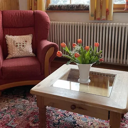 Gemuetliche In Kniebis Mit Grossem Garten Freudenstadt